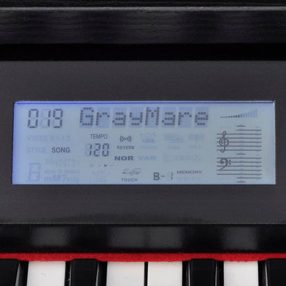 Piano numérique 88 touches pédale noire